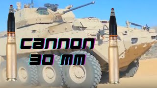 Cannon Mk44 de 30 MM Bushmaster test fire [upl. by Mastat]