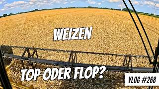 Vlog 268 Der erste Schlag Weizen Top oder Flop [upl. by Kcaz194]