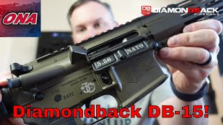 The Diamondback DB15 Rifle [upl. by Itoyj]