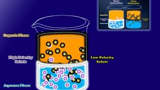 Partitioning Between Liquid Phases [upl. by Rozamond]