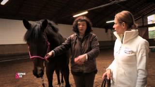 Votre cheval en mode streching  Equidia Life [upl. by Wallach]