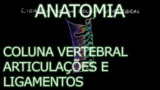 Aula Anatomia  Coluna Vertebral  Articulações e Ligamentos  Anatomia Humana Osteomuscular [upl. by Elimaj]