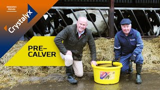 Crystalyx PreCalver Scientific Breakthroughs in Spring Calving Supplementation [upl. by Aniham111]