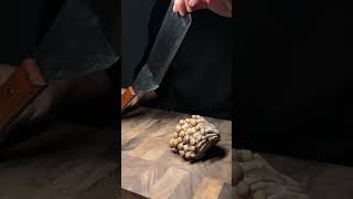 Spatula on mushrooms fyp knife knifesharpening ray knifesharpener rui knives japaneseknives [upl. by Yelraf]