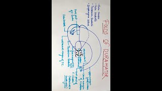 anatomymadeeasy medicose cranialcavity FOLDS OF DURA MATER ANATOMY MBBS [upl. by Adiasteb565]