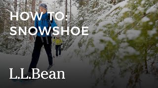 Which Style of Snowshoe is Right For You [upl. by Urbana]