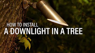 How to Install Landscape Lighting  Mounting a Downlight In a Tree [upl. by Hairahcaz]