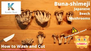 How to Wash and Cut Japanese Beech Mushrooms Bunashimeji [upl. by Elston]