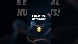 Healthiest Minerals for Your Strong Body Where to Find Them shorts minerals supplements health [upl. by Ardra136]