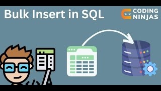 Bulk insert in sql server  شرح بالعربي [upl. by Spiegelman]