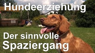 Hundeerziehung ohne Stress  Der sinnvolle Spaziergang verknüpft mit Hundeerziehung ohne Stress [upl. by Gabrielli]