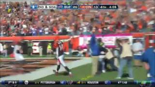 Cincinnati Bengals Cant Be Touched [upl. by Airdnaz]