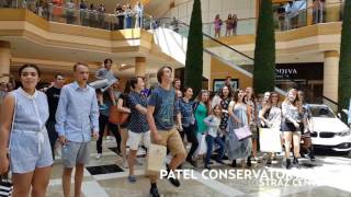 Patel Conservatory  Les Misérables Flash Mob [upl. by Revned]