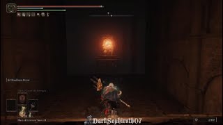 Fastest way through Darklight Catacombs [upl. by Oab]