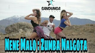 Zumba Nalgota  Nene Malo Coreografia Sandunga [upl. by Ahsina875]