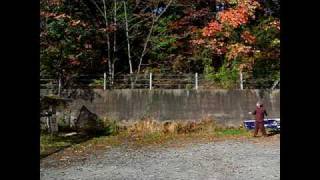 60feet and 35feet distance Shuriken and knife throwing with high speed camera [upl. by Ehgit]