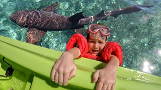 went SWiMMiNG with SHARKS Adley amp Mom got in shark water family boat ride to find ocean animals [upl. by Yllac]