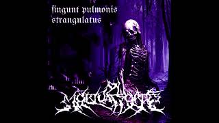 fingunt pulmonis strangulatus  Mortua Sordes instrumental [upl. by Auhsuoj]