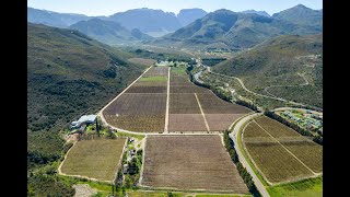 Unique Opportunity Franschhoek Farm with 3 Titles Available [upl. by Ikkir160]