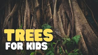 Trees for Kids  Learn all about trees in this fun educational video for kids [upl. by Urbannal95]