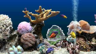 SereneScreen Marine Aquarium 3D [upl. by Arakal]