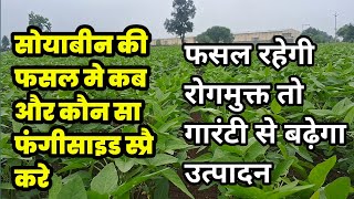 Soyabean me konsa fungicide dale  Basf priaxor fungicide  सोयाबीन मे फंगीसाइड का स्प्रै कब करे [upl. by Cecilius]