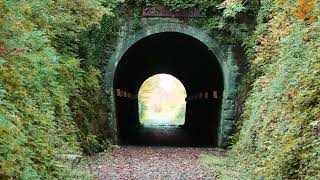 Shepton Mallet Walks Via Gold Hill steps [upl. by Viglione]