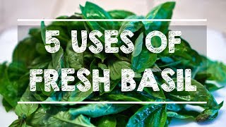 5 Uses of FRESH BASIL [upl. by Lanti]