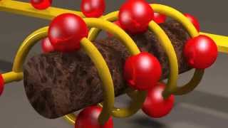 Inductors and Inductance [upl. by Eiramenna]