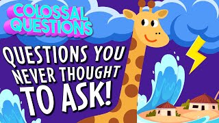 Questions You Never Thought to Ask  COLOSSAL QUESTIONS [upl. by Ameerahs]