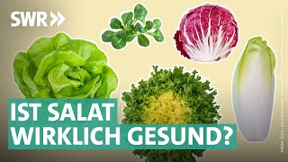 Gartensalate Bittersalate amp Co – das steckt wirklich drin  Marktcheck SWR [upl. by Moht]