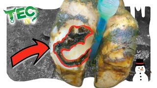 DEEP BLACK CRACK IN COWS FOOT SOLE ULCER  12 Hooves of Christmas [upl. by Yevrah]