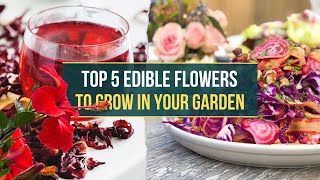 The Edible Flower Garden 🌺Top 5 MustHave Varieties ✅ [upl. by Leelah]