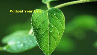 Roger Daltrey  Without Your Love w lyrics [upl. by Maisey155]