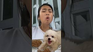 Your pet want to share food too comedy [upl. by Darb]