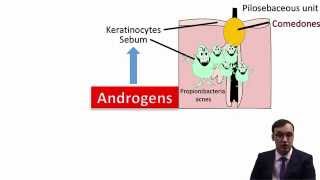 Acne Vulgaris [upl. by Zosi]