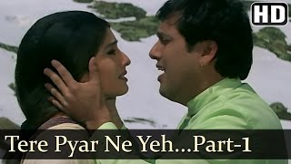 Tere Pyar Ne  Govinda  Raveena Tandon  Rajaji  Udit Narayan  Anand Milind  Hindi Hit Songs [upl. by Enomaj492]