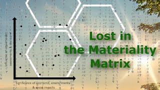 ESRS Materiality  the Matrix problem [upl. by Ayikat]