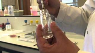 Microbiology Using API Strips 1 [upl. by Ydnat]