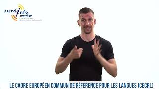 Le Cadre européen commun de référence pour les langues  CECRL [upl. by Ahsian811]