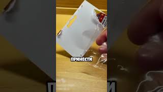 Выращиваем сороконожек дома 🐛🏠😱 [upl. by Gerrie]