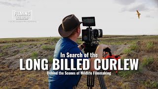 In Search of the Long Billed Curlew  Behind The Scenes of Wildlife Filmmaking [upl. by Omar]