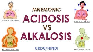 Mnemonic Acidosis Vs Alkalosis  UrduHindi [upl. by Anaiek]