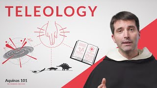 Teleology Aquinas 101 [upl. by Loats]