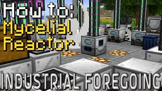 How to Industrial Foregoing  Mycelial Reactor Minecraft 1201 [upl. by Rolan397]