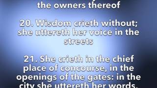 Proverbs 1 KJV AUDIOVIDEO [upl. by Anavas]