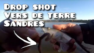 peche du sandre et de la perche au drop shot vers de terre 2022 [upl. by Mauceri322]