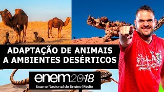 ADAPTAÇÃO DE ANIMAIS A AMBIENTES DESÉRTICOS  ENEM 2018 LISTA 24 QUESTÃO 14 [upl. by Mukul]