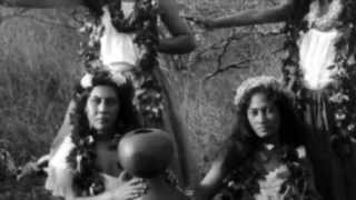 Hula Preserving Native Hawaiian Language and Culture [upl. by Aneed]