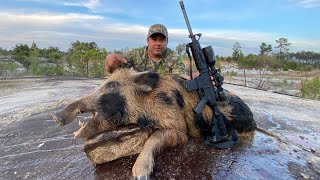 Caza De Puerco Salvaje Gigante En Mina Abandonada [upl. by Edmee]